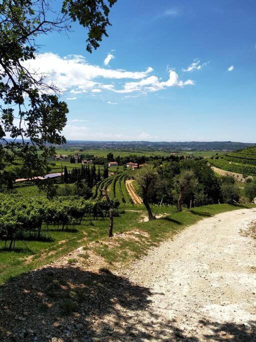 Giardino Del Borgo Appartamento Valpolicella Сант'Амброджо-ді-Вальполічелла Екстер'єр фото