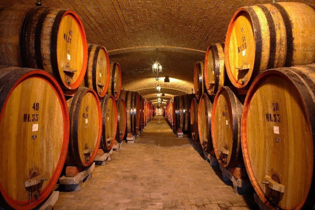 Giardino Del Borgo Appartamento Valpolicella Сант'Амброджо-ді-Вальполічелла Екстер'єр фото