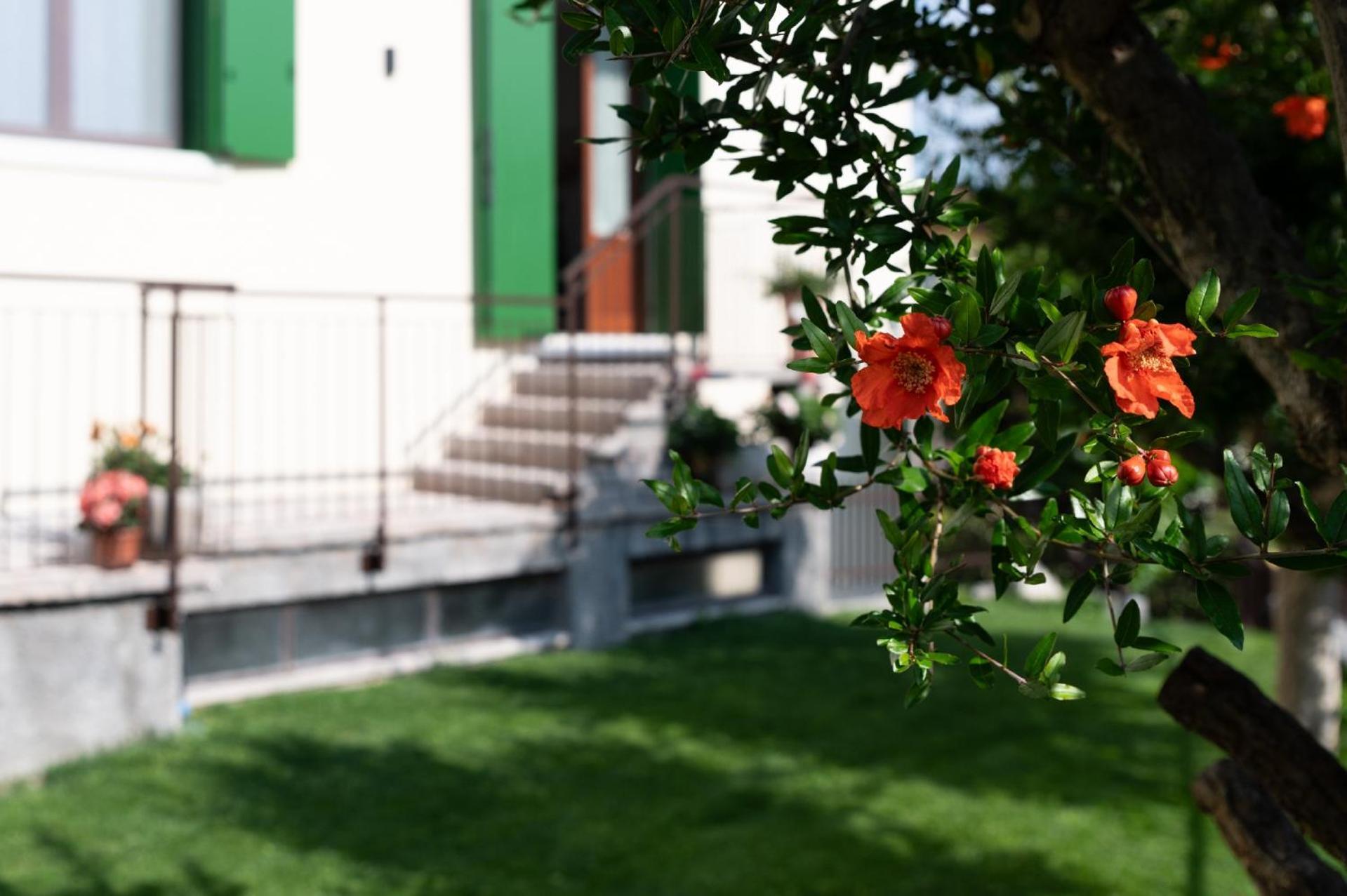 Giardino Del Borgo Appartamento Valpolicella Сант'Амброджо-ді-Вальполічелла Екстер'єр фото